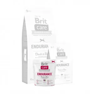 Brit Care dog Endurance - 12kg - starý obal