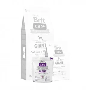 Brit Care dog Grain Free Giant Salmon & Potato - 4x3kg / expirace 23.5.2023