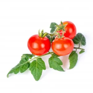 Véritable Lingot se semeny cherry rajčat pro chytré květináče VLIN-L5-Tom016