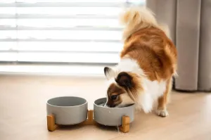 Vsepropejska Tella dvojitá keramická miska pro psa či kočku Barva: Šedá, Rozměr (cm): 12
