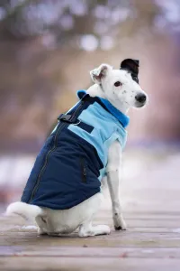Vsepropejska Aston obleček pro psa na zip Barva: Modrá, Délka zad (cm): 38, Obvod hrudníku: 44 - 52 cm