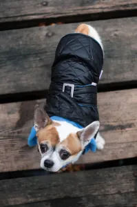 Vsepropejska Coldy bunda pro psa s kapucí Barva: Černo-modrá, Délka zad (cm): 28, Obvod hrudníku: 22 - 38 cm