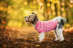 Vsepropejska Heart svetr pro psa se srdíčky Barva: Růžová, Délka zad (cm): 40, Obvod hrudníku: 38 - 46 cm
