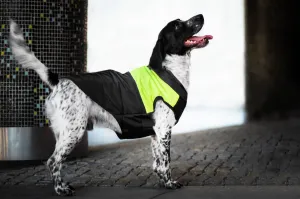 Vsepropejska Slim-rainy obleček pro psa na zip Barva: Černo-žlutá, Délka zad (cm): 35, Obvod hrudníku: 40 - 45 cm