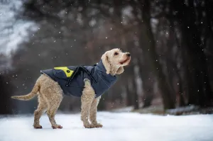 Vsepropejska Tandor zimní bunda pro psa s postrojem Barva: Šedá, Délka zad (cm): 25, Obvod hrudníku: 40 - 44 cm