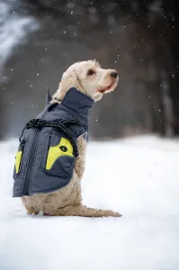Vsepropejska Tandor zimní bunda pro psa s postrojem Barva: Šedá, Délka zad (cm): 30, Obvod hrudníku: 44 - 48 cm