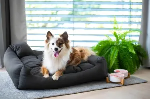 Vsepropejska Lux nadýchaný pelech pro psa Barva: Tmavě-šedá, Rozměr (cm): 130 x 110