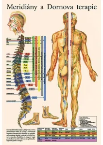 Vydavatelství Poznání Anatomický plakát - Meridiány a Dornova terapie