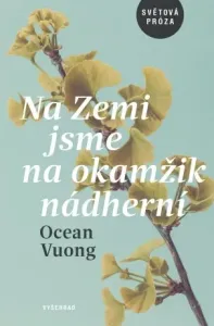Na Zemi jsme na okamžik nádherní - Vuong Ocean - e-kniha