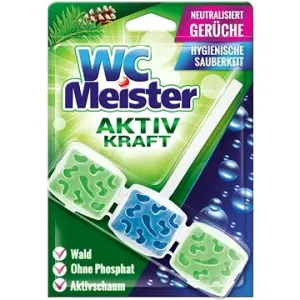 WC MEISTER Toilet Rim Block Forest 45 g
