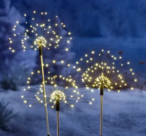 Weltbild LED Zahradní zápich Magické květy, 3 ks