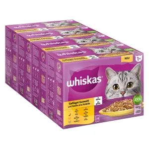 Whiskas 1+ Adult Megapack kapsičky 24 x 85 g / 100 g - drůbeží výběr v želé (85 g)