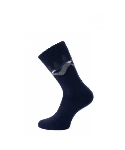 Pánské ponožky Wik