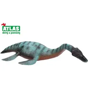 Atlas Plesiosaurus