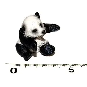 Atlas Pandí mládě