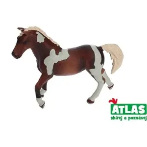 Atlas Kůň #73900
