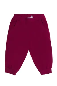 Dívčí 3/4 kalhoty - Winkiki WTG 01813, bordo Barva: Bordo, Velikost: 128
