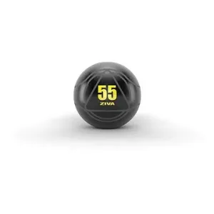 ZIVA gymnastický míč 55 cm, černý