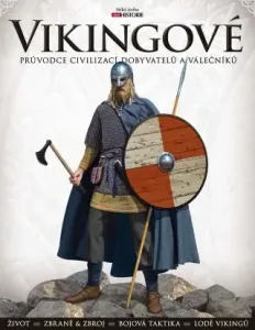 Vikingové #2987647