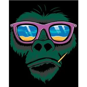 Malování podle čísel - Opice a sluneční brýle
