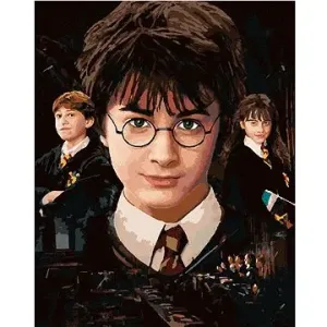 Harry Potter, Hermiona a Ron