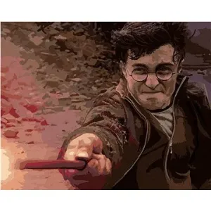 Harry Potter v souboji s Voldemortem, 40×50 cm, vypnuté plátno na rám