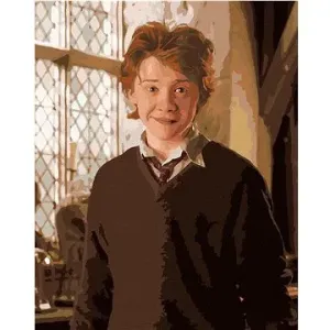 Ron v učebně (Harry Potter), 40×50 cm, bez rámu a bez vypnutí plátna