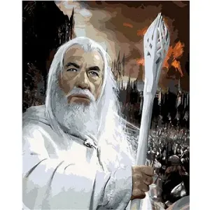 Zuty - Gandalf portrét (pán prstenů), 40×50 cm