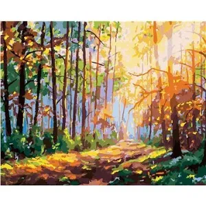 Les s odrazem sluníčka, 80×100 cm, bez rámu a bez vypnutí plátna