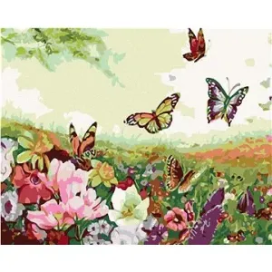 Malování podle čísel - Louka plná motýlů