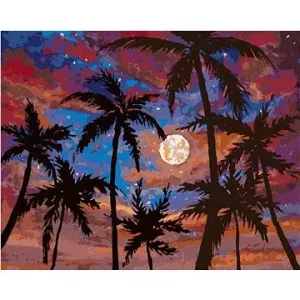 Měsíc mezi palmami, 80×100 cm, vypnuté plátno na rám
