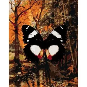 Motýl v podzimním lese, 40×50 cm, bez rámu a bez vypnutí plátna