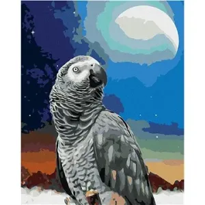 Papoušek a měsíc, 40×50 cm, bez rámu a bez vypnutí plátna
