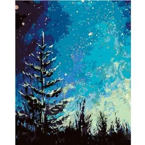 Strom a noční obloha v lese, 80×100 cm, vypnuté plátno na rám