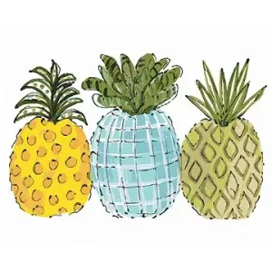 Barevné ananasy (Haley Bush), 40×50 cm, bez rámu a bez vypnutí plátna