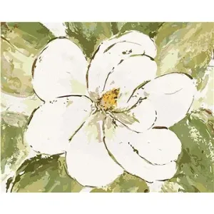 Bílá magnólie (Haley Bush), 40×50 cm, bez rámu a bez vypnutí plátna