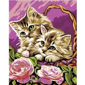 Malování podle čísel - Koťata v košíku a růžové růže