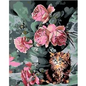 Malování podle čísel - Malé kotě mezi květy