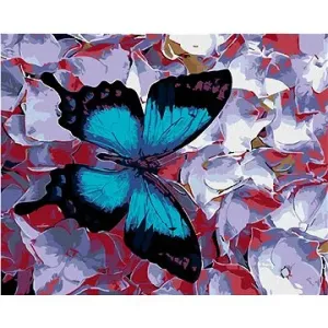 Malování podle čísel - Modrý motýl a kvítka