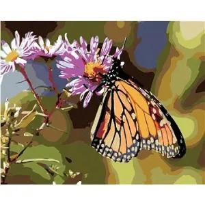 Malování podle čísel - Motýl a kvetoucí květiny