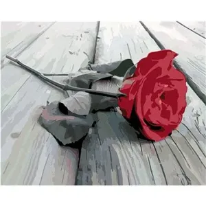 Malování podle čísel - Položená růže
