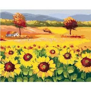 Překrásné pole plné slunečnic, 40×50 cm, vypnuté plátno na rám