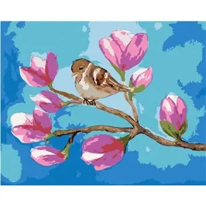 Sedící vrabec na větvi s květy magnólie