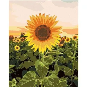 Úžasná slunečnice, 80×100 cm, vypnuté plátno na rám