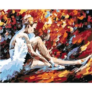 Malování podle čísel - Sedící baletka