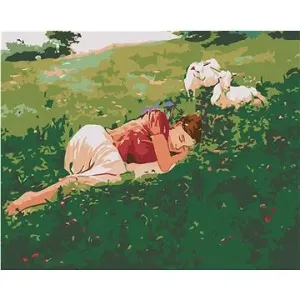 Malování podle čísel - Spící žena v trávě a kůzlata