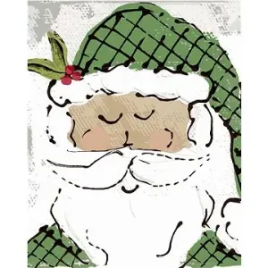 Santa se zelenou čepicí (Haley Bush)
