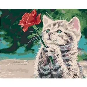 Malování podle čísel - Kotě a červená růže