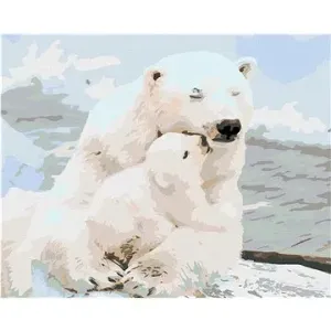 Malování podle čísel - Lední medvídci