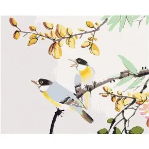 Malování podle čísel - Ptáčci na stromě čína